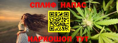 индика Ливны