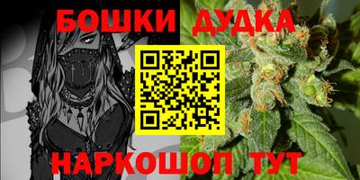 индика Ливны