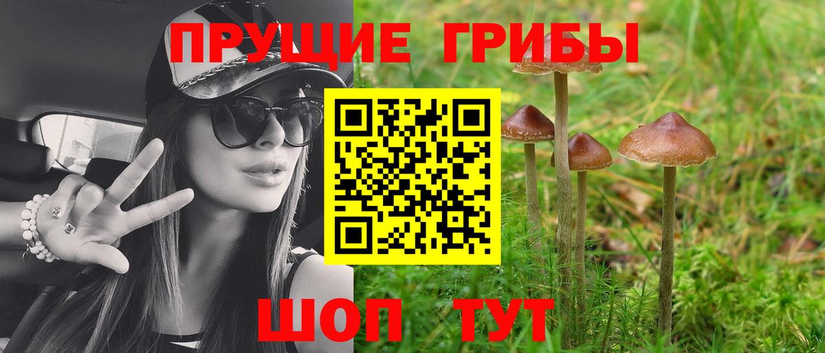 Псилоцибиновые грибы мухоморы Карасук